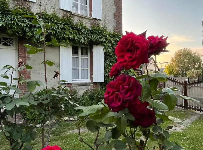 'l' Editeur' - Maison De Maitre Honfleuraise. La Rivière-Saint-Sauveur