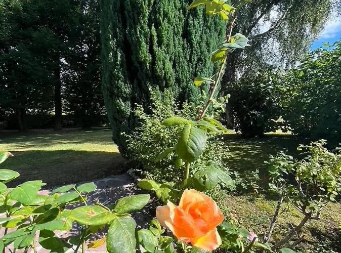 Villa ‘l’ éditeur’ - Maison De Maître Honfleuraise.
