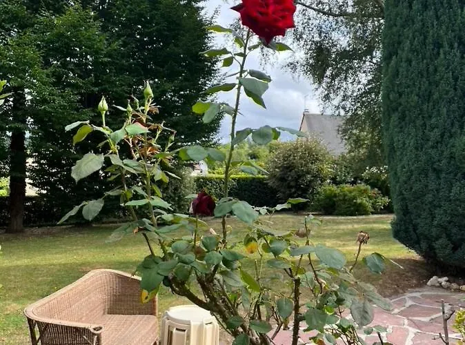 Villa ‘l’ éditeur’ - Maison De Maître Honfleuraise. *